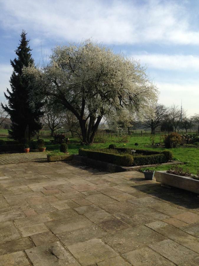 B&B Bekersveld Vlezenbeek Esterno foto