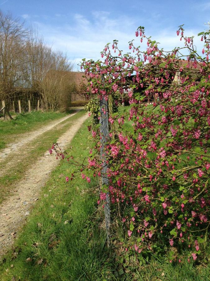 B&B Bekersveld Vlezenbeek Esterno foto